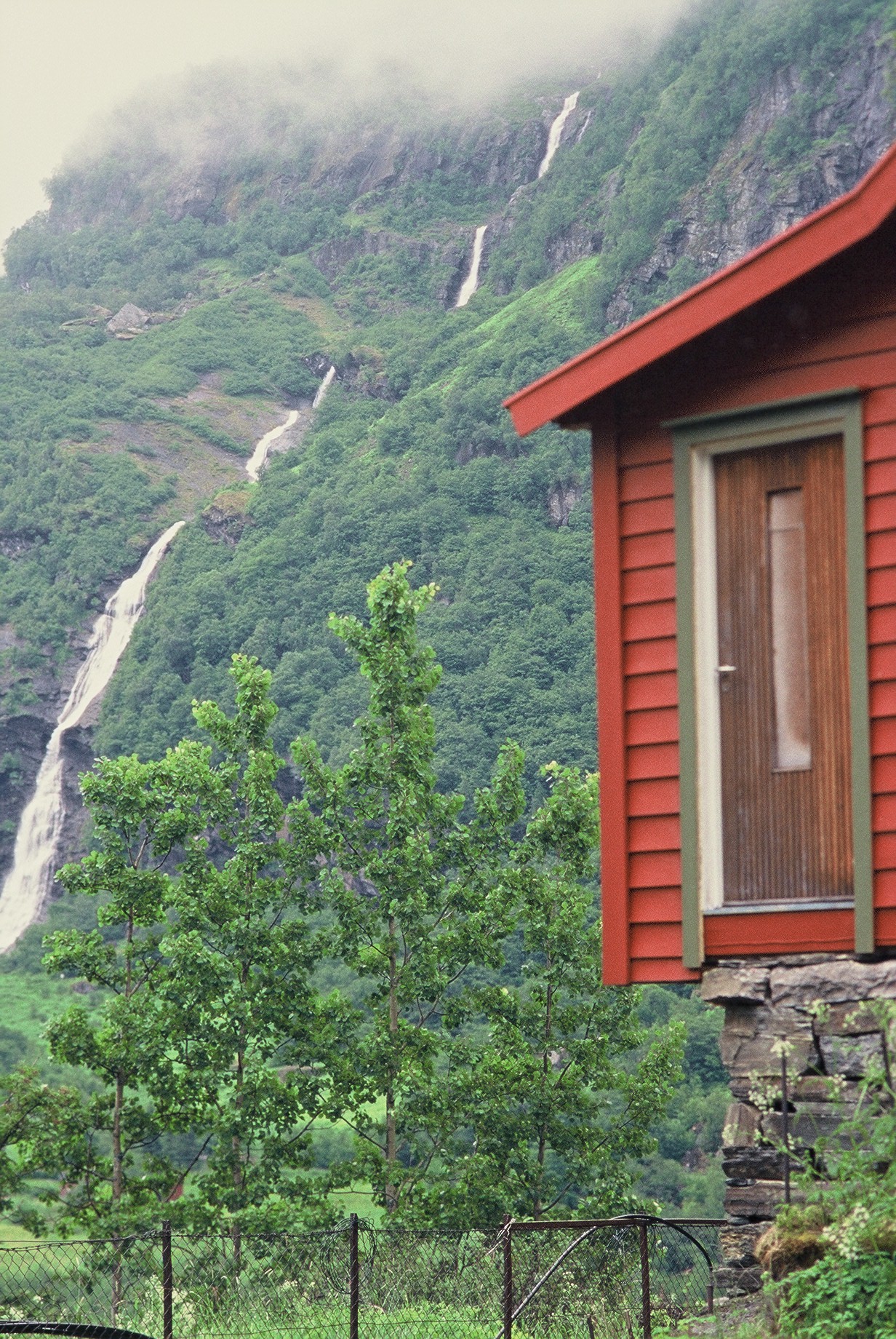 Studieforberedt er selvstendig – Gammal sur lektor, image size:1232x1840